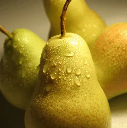 Compare to aroma BRANDIED PEAR by AFI ® F20494