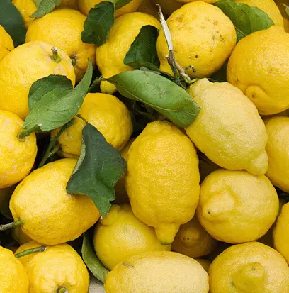 Compare to aroma LEMON by AFI ® F21152