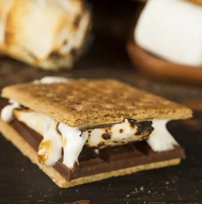Compare to aroma CAMPFIRE SMORES by Mill Creek ® F27915