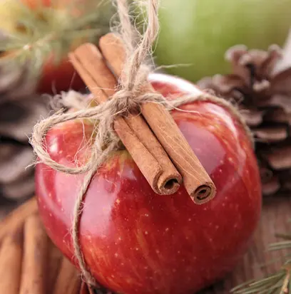 Compare to aroma SUGARED CINNAMON APPLE by Yankee Candle ® F33526