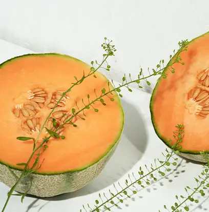 Compare to aroma SWEET SUMMER MELON by AFI ® F49710